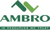 Ambro Srl